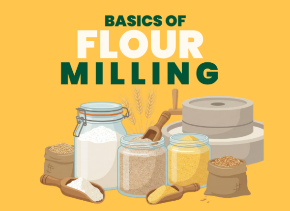 Basics of flour milling