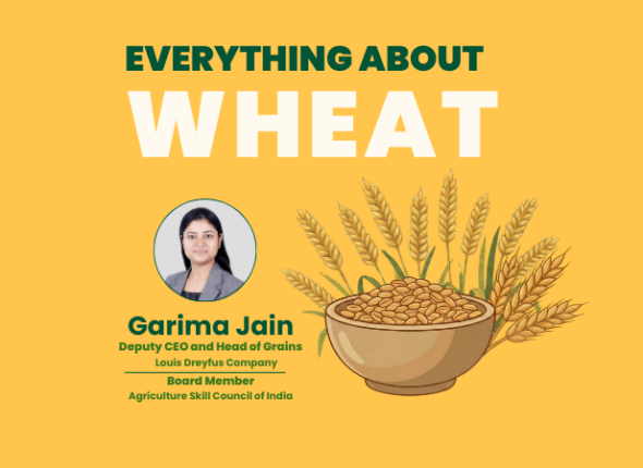 Everthing About wheat (1)