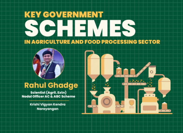 Key Government schmes .png